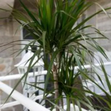 Guestready - Comendador Sto Ildefonso Porto Exterior photo